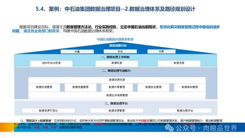 構建卓越數據資產 XX集團數據治理體系建設方案之數據處理服務篇