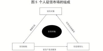 起底個人征信軟件開發(fā) 技術(shù)賦能與合規(guī)挑戰(zhàn)